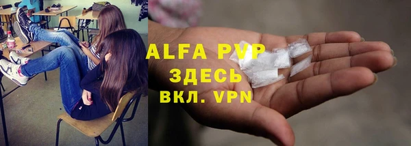 a pvp Абаза