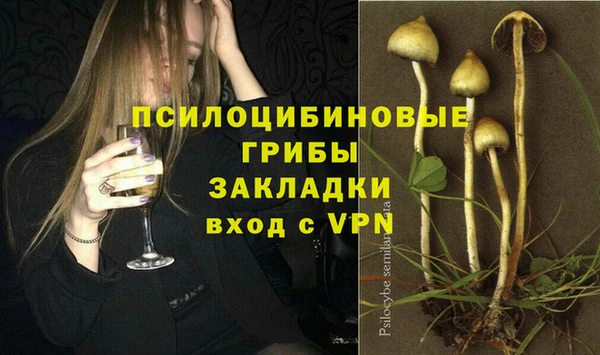 твердый Алексин