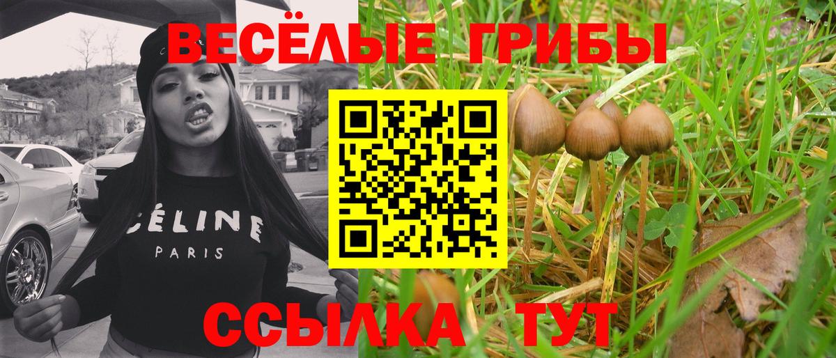 Галлюциногенные грибы GOLDEN TEACHER  Псилоцибиновые грибы ЛСД  Вход с VPN  закладки  Узловая 